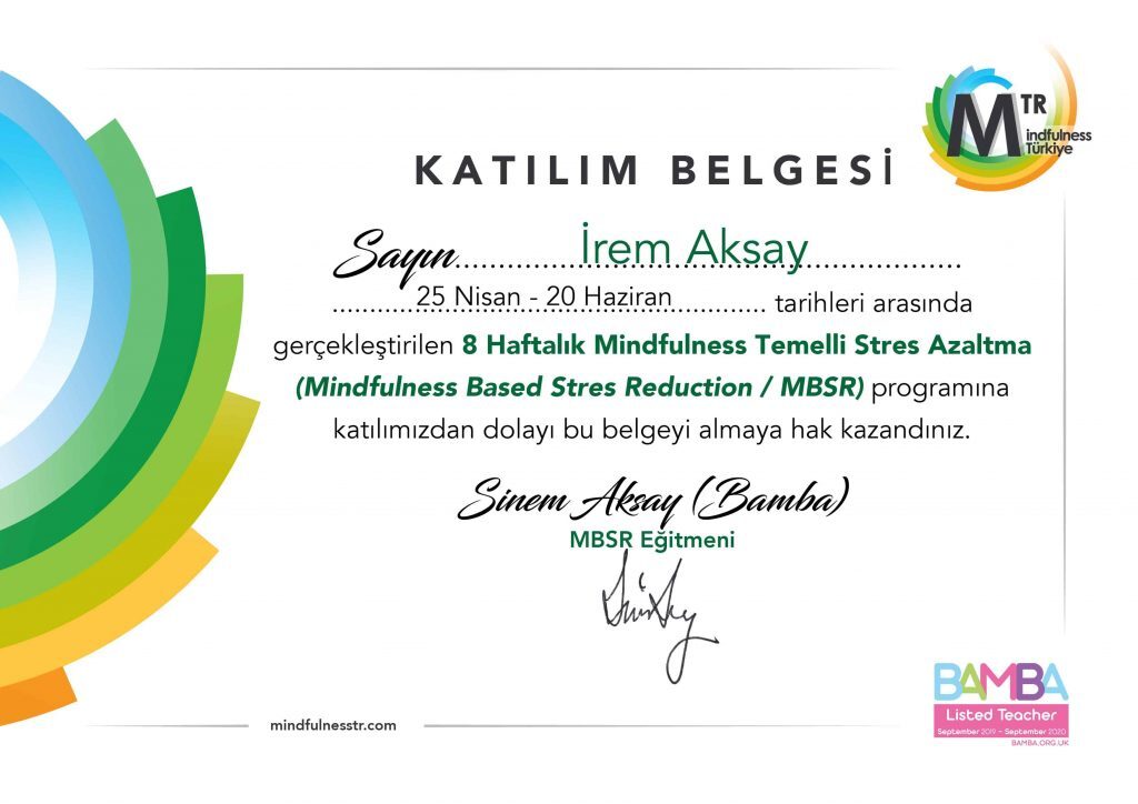 Online MBSR Eğitimi - Mindfulness Tabanlı Stres Yönetim Programı 1